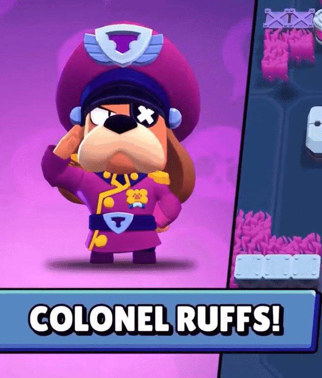 coronel ruffs